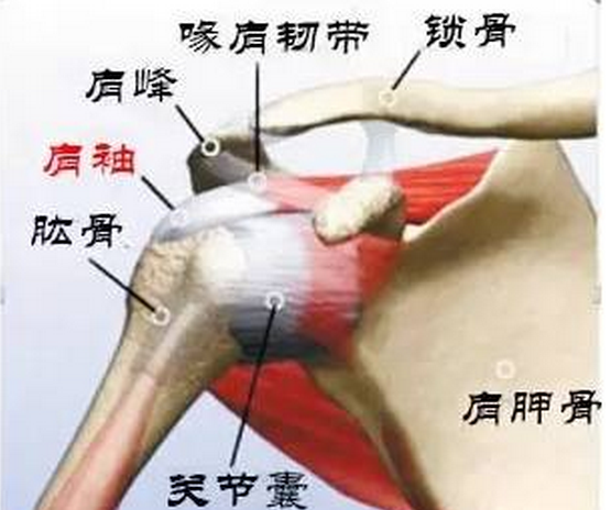 1489473493227034.png blob.png