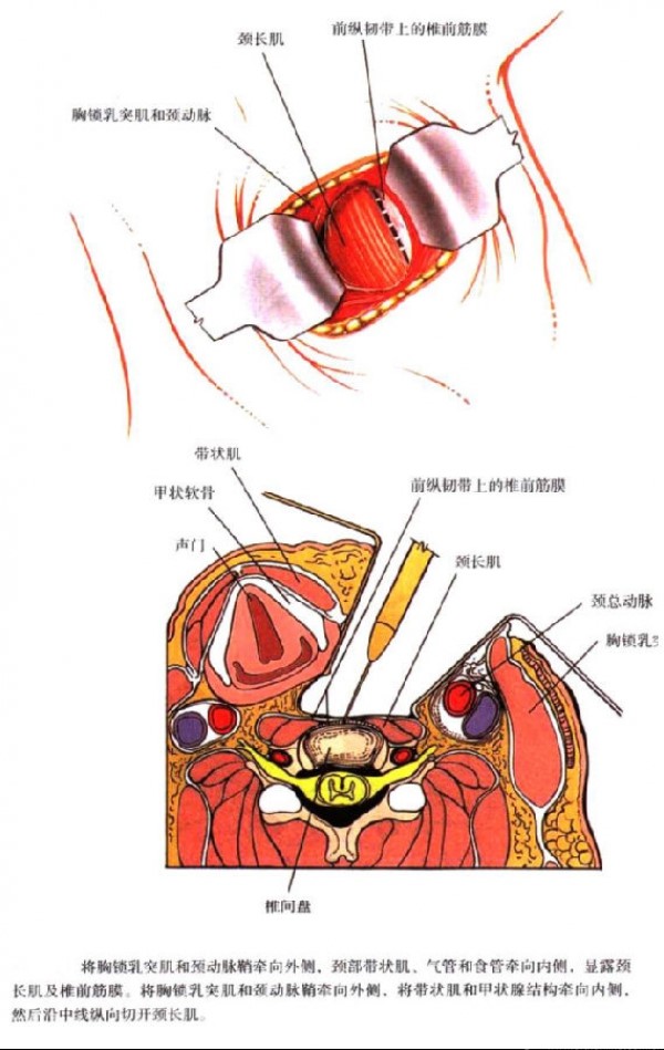 1498033923414445.jpg 1.jpg