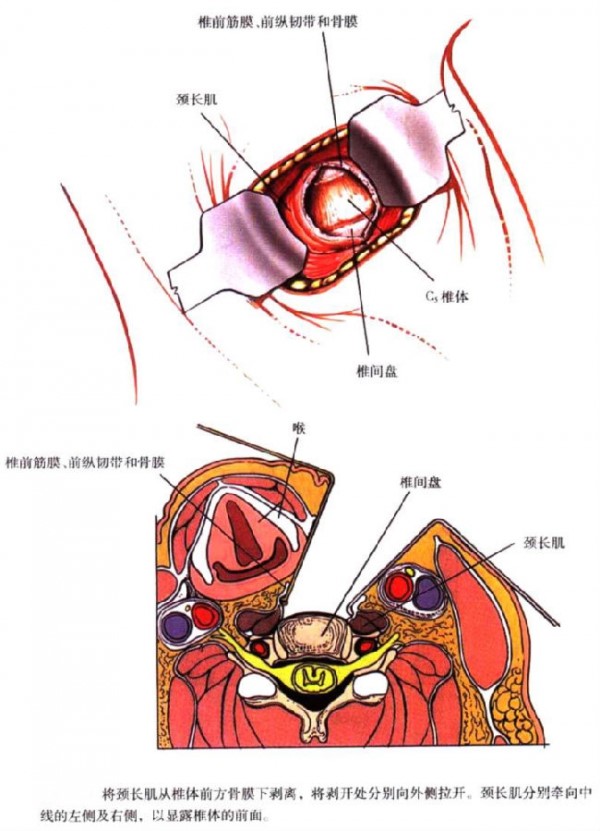 1498034159824498.jpg 2.jpg