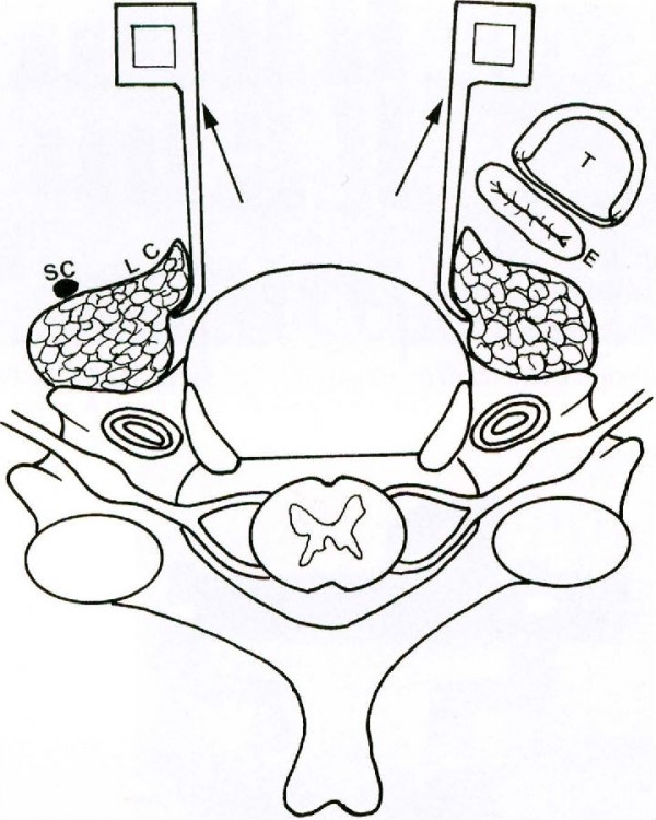 1498640026505894.jpg 6.jpg