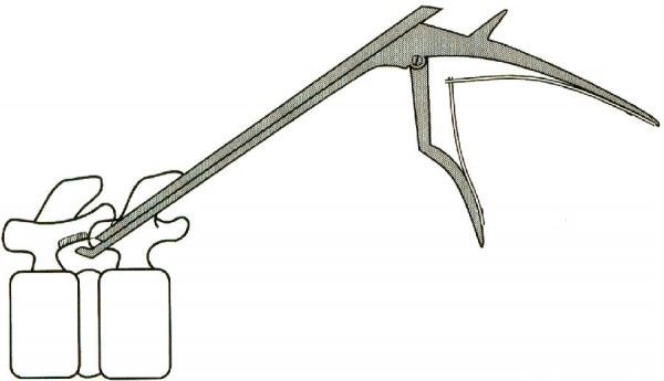 1498640096162329.jpg 7.jpg