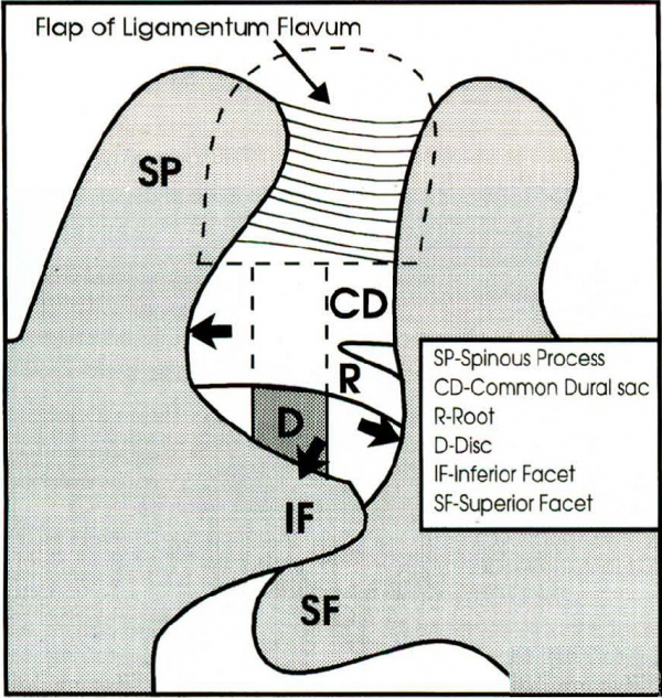 1498640155131014.png 10.png