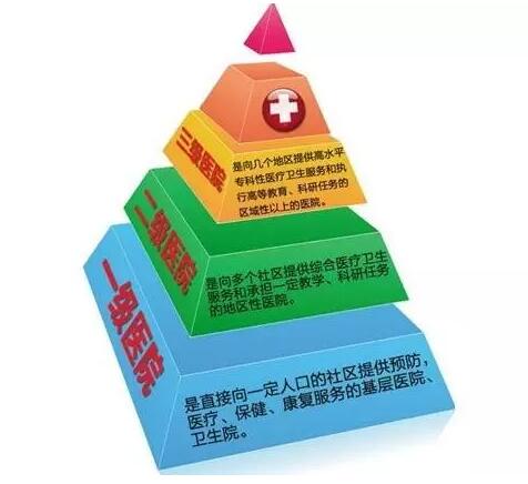 1499327763925464.jpg 5.jpg