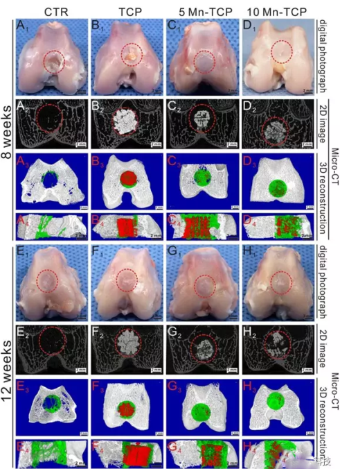 1499761184976132.png 2.png