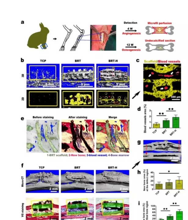 1499761337556575.png 5.png