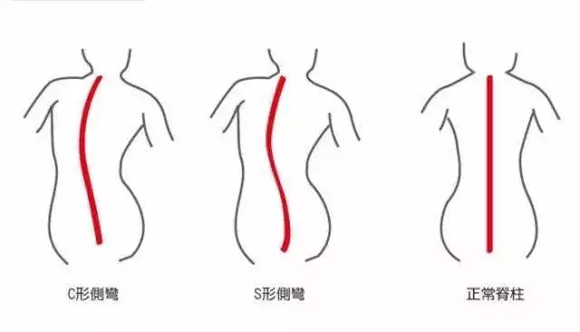 1521684270568184.jpg 640.webp (38).jpg