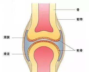 1524448055592405.jpg 640.webp (53).jpg