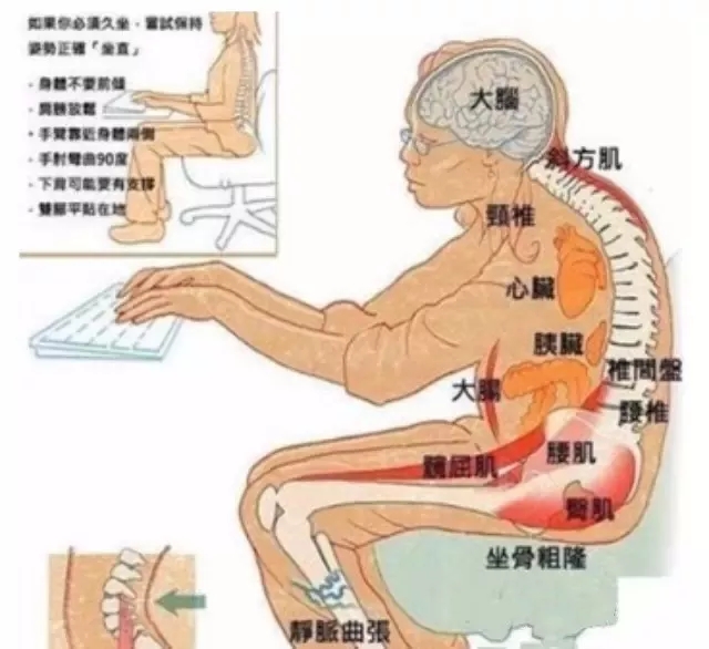 1526953815233602.jpg 640.webp (79).jpg