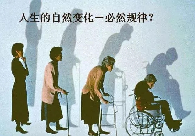 1527132954776916.jpg 640.webp (83).jpg