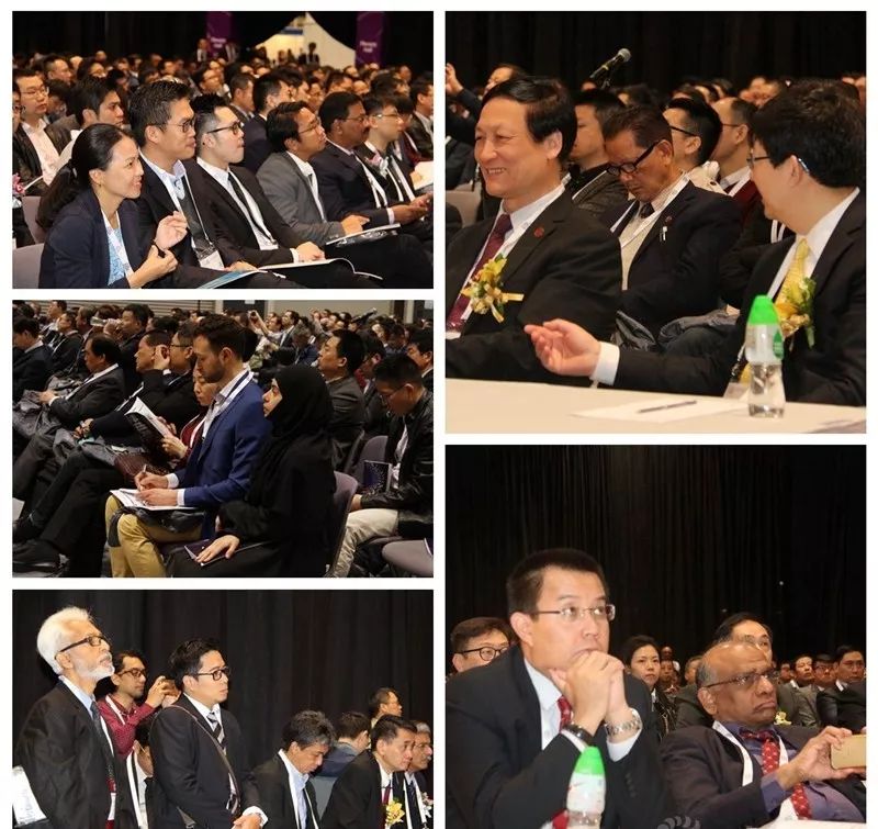 1531381949898898.jpg 2-16.jpg