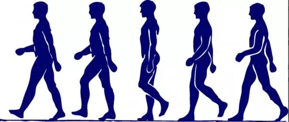 1532656627292474.jpg 640.webp.jpg