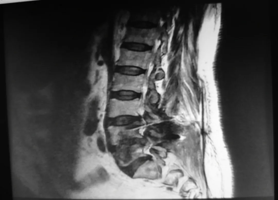 1617763176847469.jpg 1617763176847469.jpg