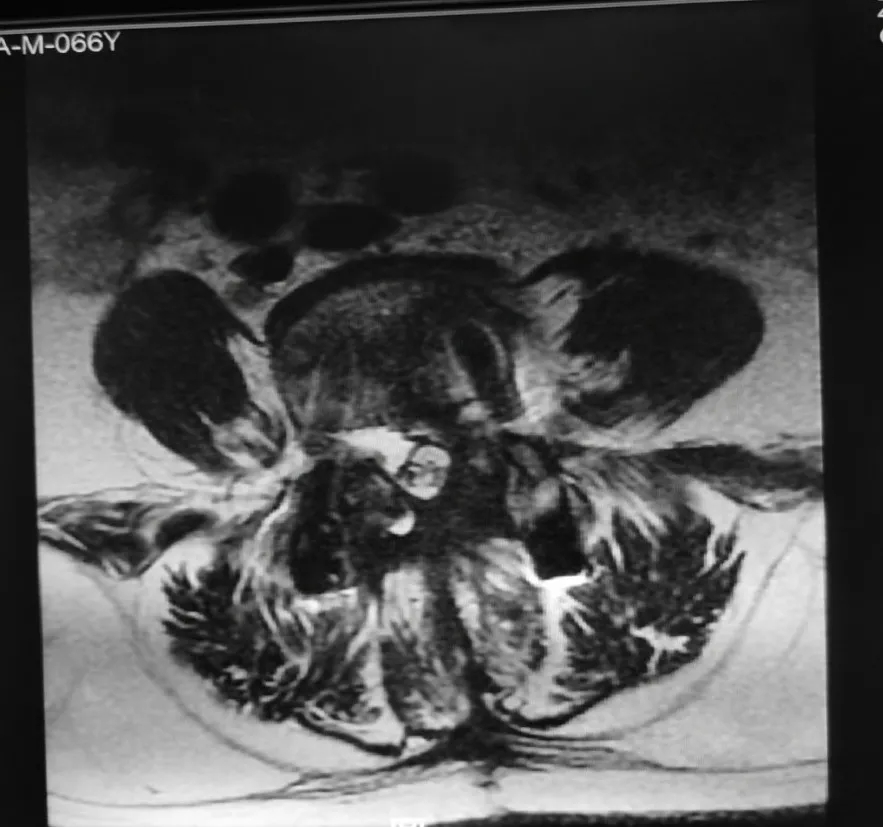 1617763187322661.jpg 1617763187322661.jpg