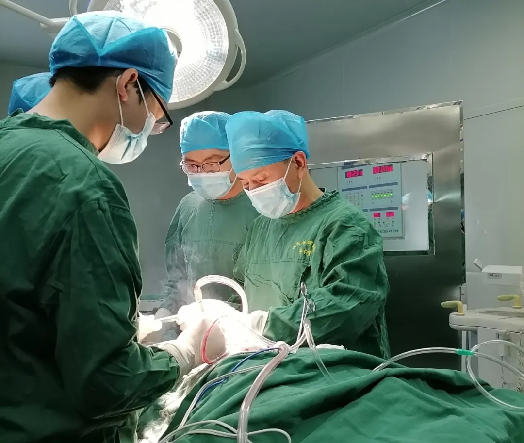 1624426178697111.jpg 1624426178697111.jpg