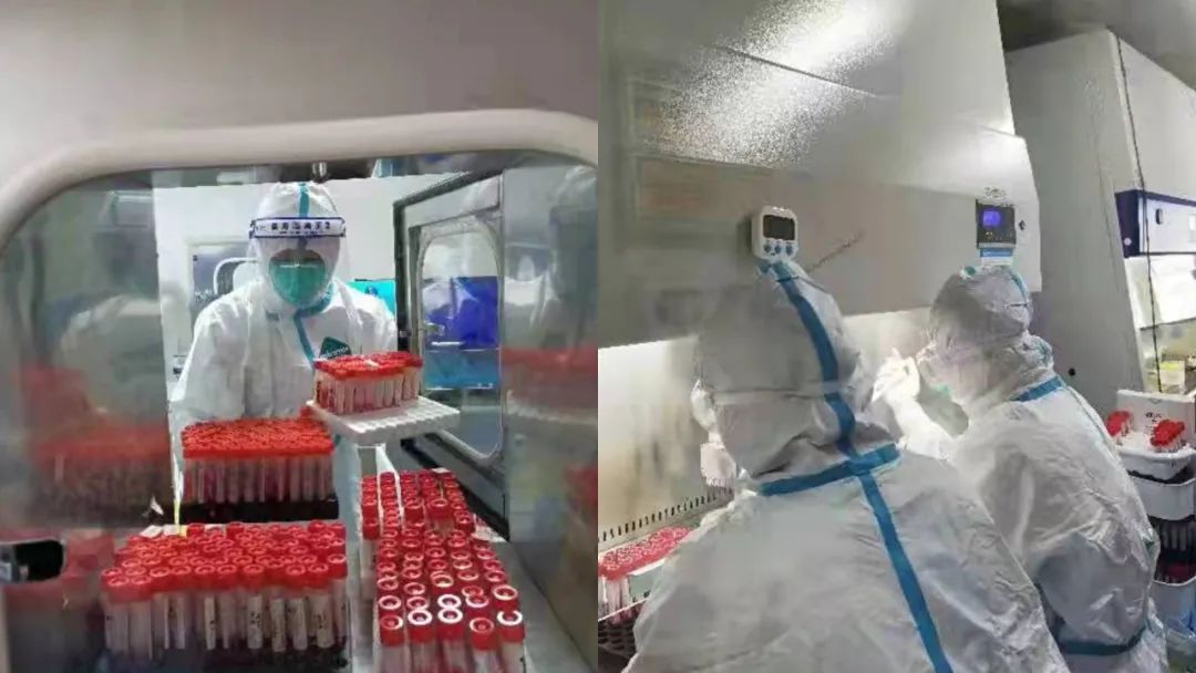 1652687988583954.jpg 1652687988583954.jpg