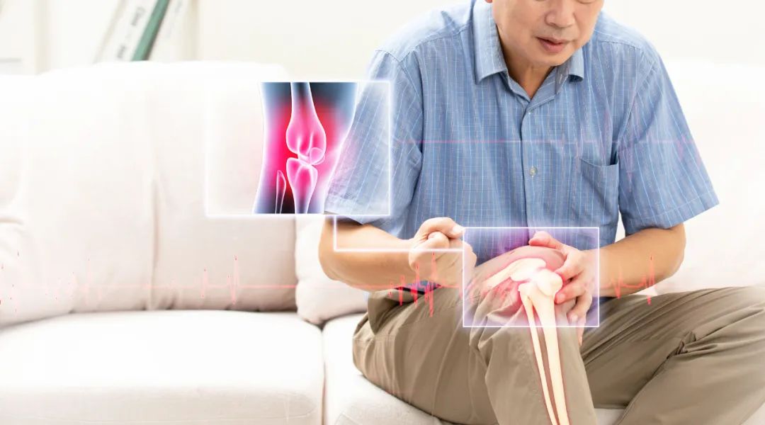 1681113127662645.jpg 640 (5).jpg