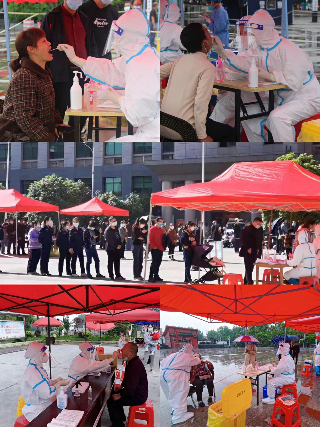 1694575598875410.jpg 1694575598875410.jpg